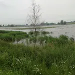 Zum Brauergang Garz (Rugen)