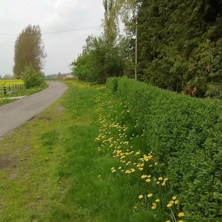 Zum Brauergang * Garz (Rugen)