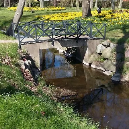 Zum Brauergang