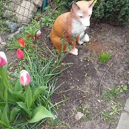 Zum Brauergang * Garz (Rugen)