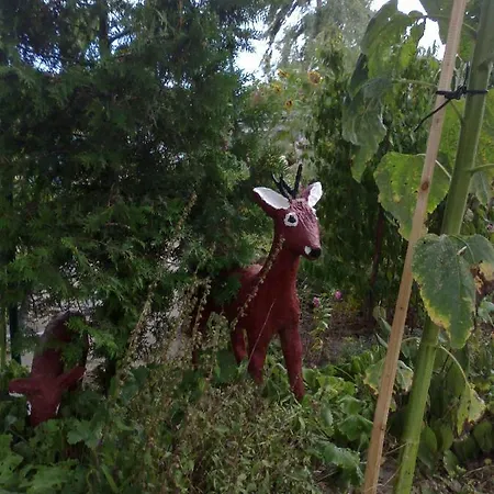 Zum Brauergang Garz (Rugen)