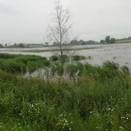 Zum Brauergang Garz (Rugen)